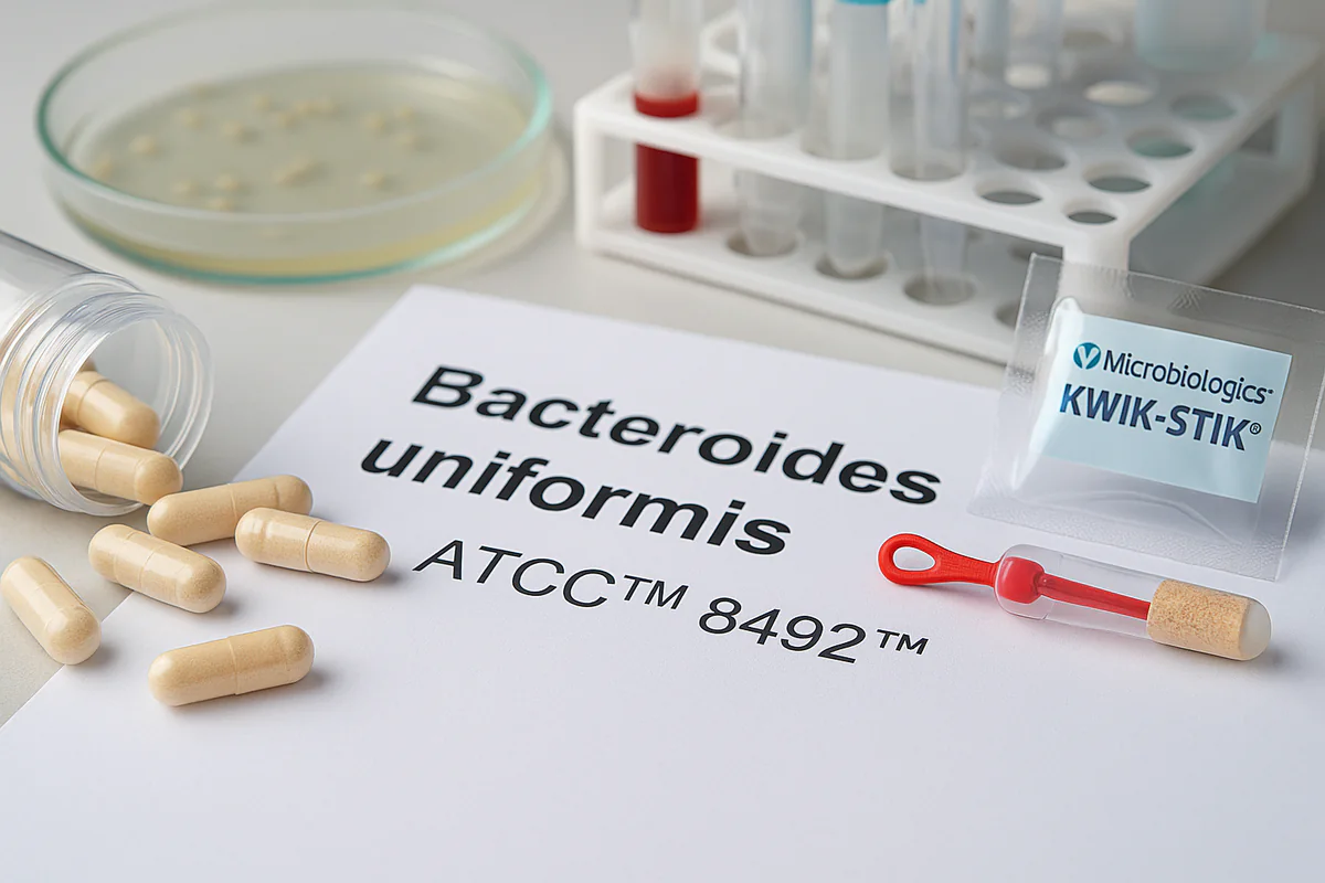Laboratory bench with a Bacteroides uniformis ATCC 8492 strain data sheet, spilled probiotic capsules, a culture plate and a Microbiologics KWIK-STIK vial
